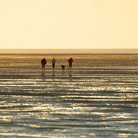 De Roggenbloom Διαμέρισμα *