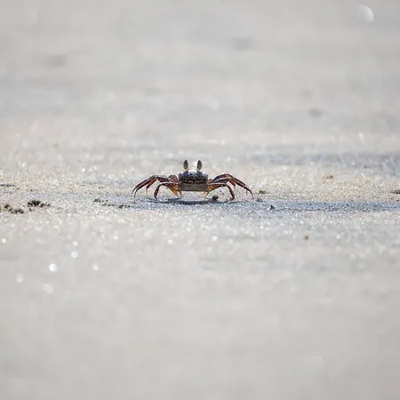 Διαμέρισμα De Roggenbloom Dorumer Neufeld