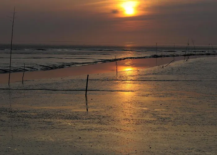 Апартаменты De Roggenbloom Дорум-Нойфельд